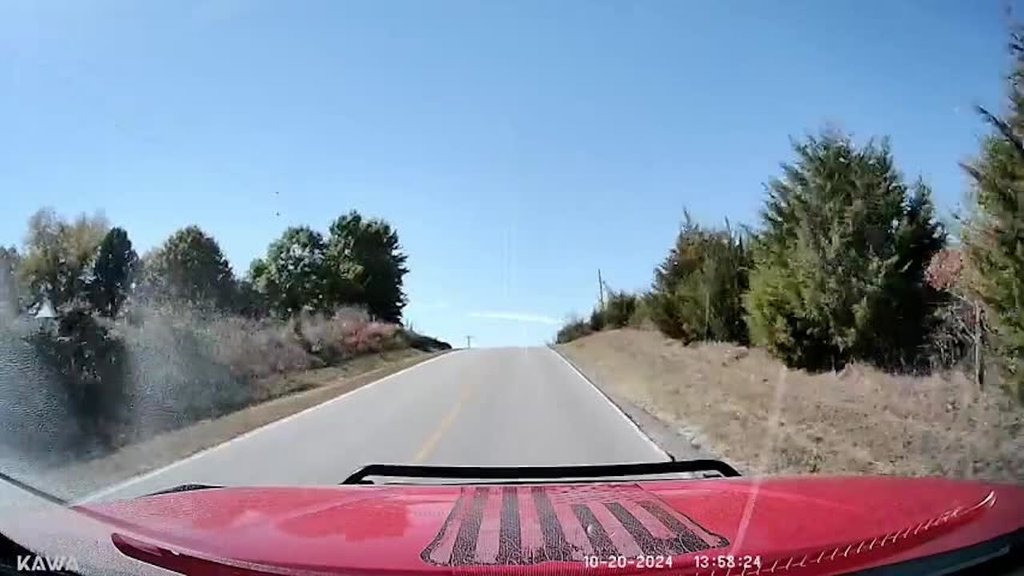 Sorpresas en la carretera: ¡Atención al conducir!